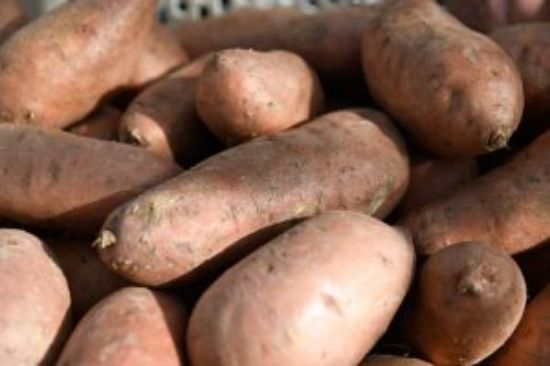 Sweet Potatoes